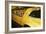 Gold Street Bird-Alan Hausenflock-Framed Photographic Print