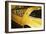 Gold Street Bird-Alan Hausenflock-Framed Photographic Print