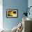 Gold Street Bird-Alan Hausenflock-Framed Photographic Print displayed on a wall