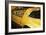 Gold Street Bird-Alan Hausenflock-Framed Photographic Print