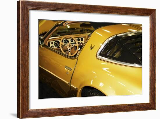 Gold Street Bird-Alan Hausenflock-Framed Photographic Print