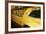 Gold Street Bird-Alan Hausenflock-Framed Photographic Print