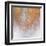 Gold Summer Woods Square-Roberto Gonzalez-Framed Art Print