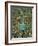 Gold Teal Peacock-Mindy Sommers-Framed Giclee Print