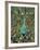 Gold Teal Peacock-Mindy Sommers-Framed Giclee Print