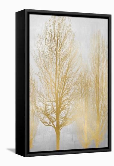 Gold Tree Panel I-Kate Bennett-Framed Stretched Canvas