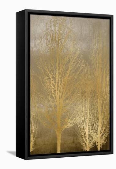 Gold Trees on Brown Panel II-Kate Bennett-Framed Stretched Canvas