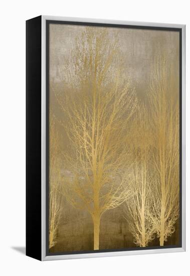 Gold Trees on Brown Panel II-Kate Bennett-Framed Stretched Canvas