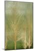 Gold Trees on Green Panel II-Kate Bennett-Mounted Art Print