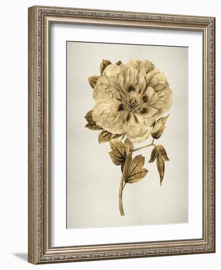 Gold Tulip I-Kate Bennett-Framed Art Print