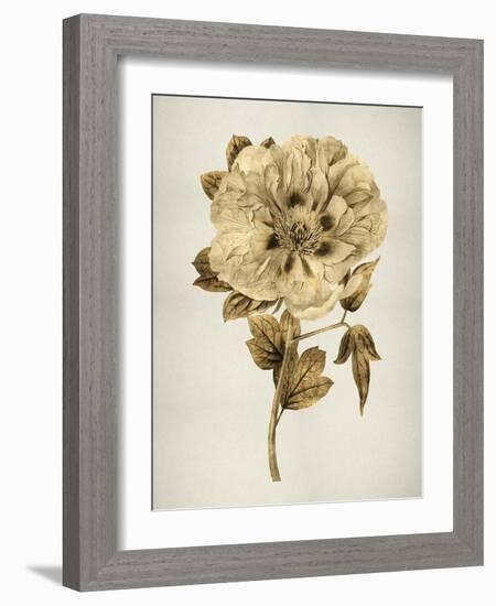 Gold Tulip I-Kate Bennett-Framed Art Print