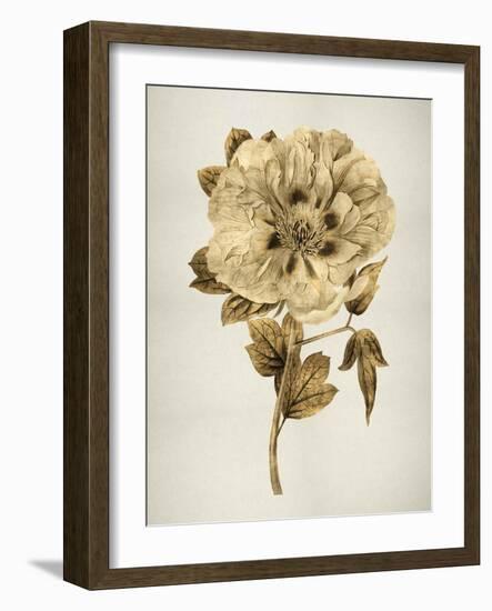 Gold Tulip I-Kate Bennett-Framed Art Print