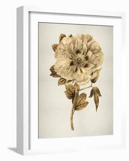 Gold Tulip I-Kate Bennett-Framed Art Print