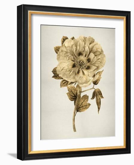 Gold Tulip I-Kate Bennett-Framed Art Print