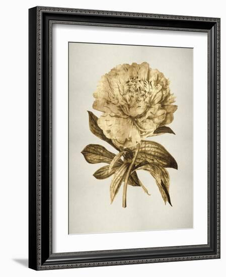 Gold Tulip II-Kate Bennett-Framed Art Print