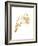 Gold Wing III-Gwendolyn Babbitt-Framed Art Print