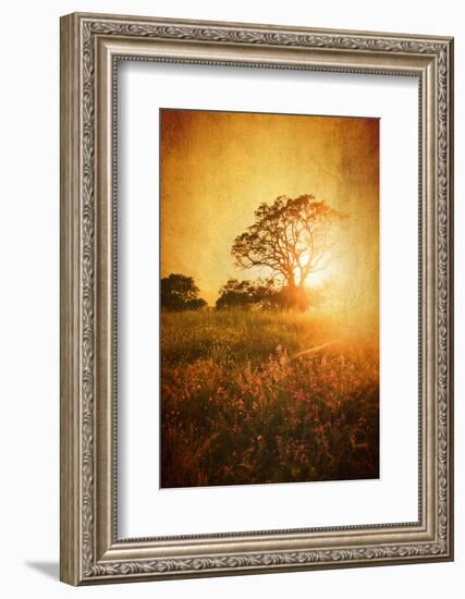 Golden Age-Philippe Sainte-Laudy-Framed Photographic Print