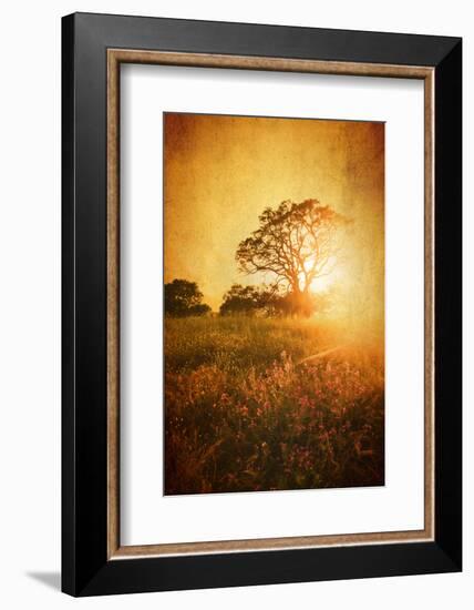 Golden Age-Philippe Sainte-Laudy-Framed Photographic Print