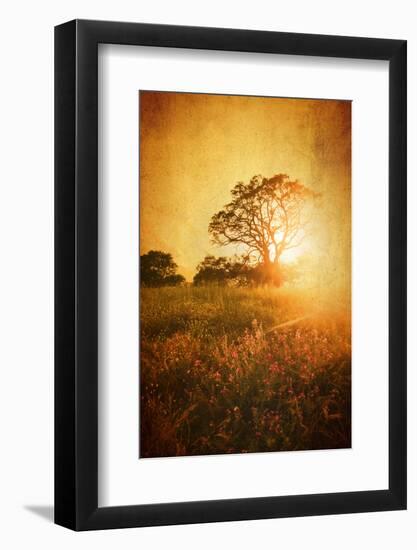 Golden Age-Philippe Sainte-Laudy-Framed Photographic Print