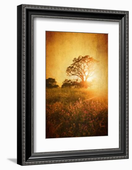 Golden Age-Philippe Sainte-Laudy-Framed Photographic Print