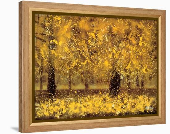 Golden Age-Pihua Hsu-Framed Premier Image Canvas