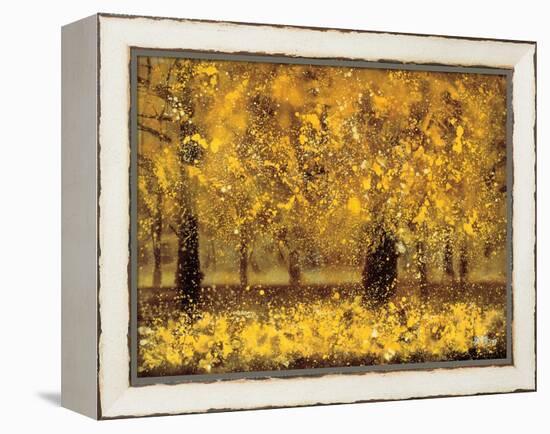 Golden Age-Pihua Hsu-Framed Premier Image Canvas