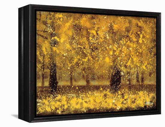 Golden Age-Pihua Hsu-Framed Premier Image Canvas