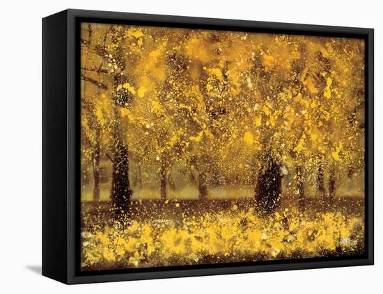 Golden Age-Pihua Hsu-Framed Premier Image Canvas