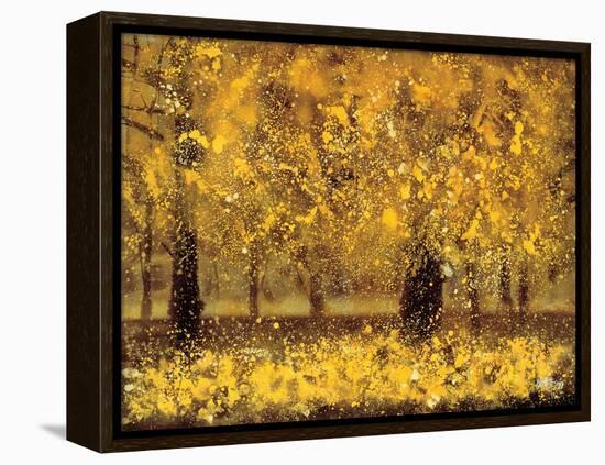 Golden Age-Pihua Hsu-Framed Premier Image Canvas