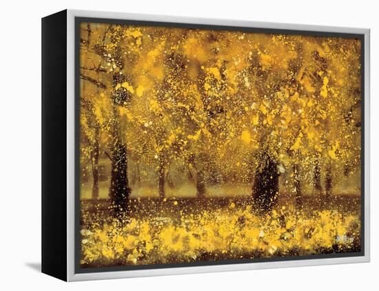 Golden Age-Pihua Hsu-Framed Premier Image Canvas