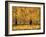 Golden Age-Pihua Hsu-Framed Giclee Print