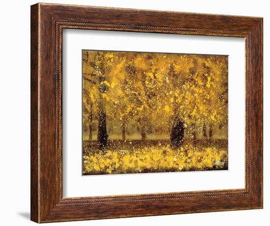 Golden Age-Pihua Hsu-Framed Giclee Print