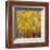 Golden Angels in the Aspens-Amy Dixon-Framed Art Print