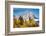 Golden aspen trees and Cathedral Group, Grand Teton National Park.-Adam Jones-Framed Photographic Print