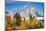 Golden aspen trees and Cathedral Group, Grand Teton National Park.-Adam Jones-Mounted Photographic Print