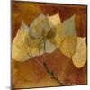 Golden Aspen-Albert Koetsier-Mounted Art Print