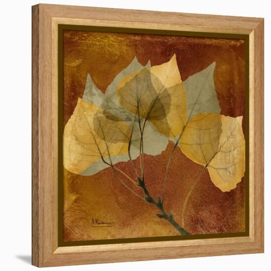 Golden Aspen-Albert Koetsier-Framed Stretched Canvas