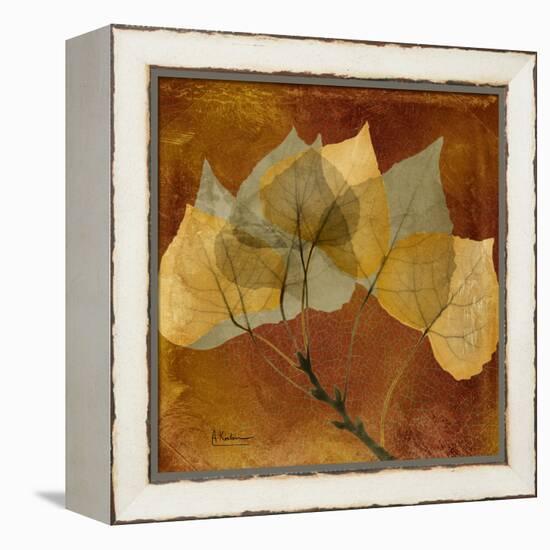 Golden Aspen-Albert Koetsier-Framed Stretched Canvas