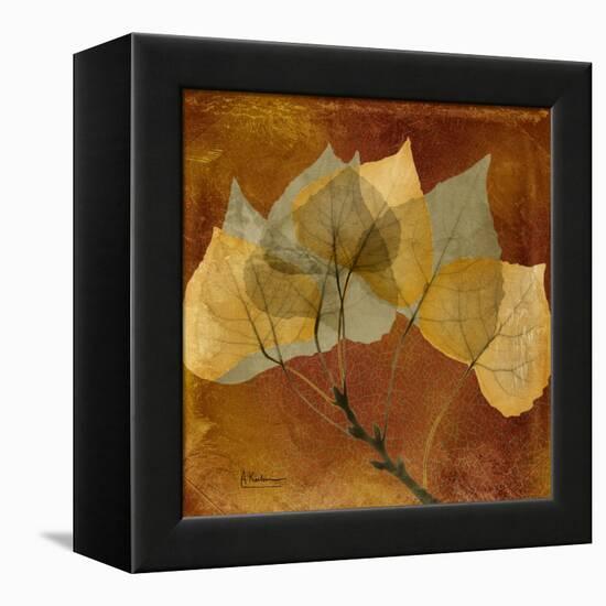 Golden Aspen-Albert Koetsier-Framed Stretched Canvas