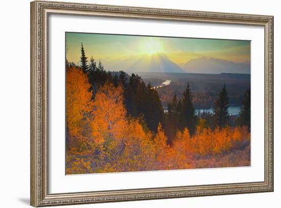 Golden aspens above Snake River at sunset.-Larry Ditto-Framed Photographic Print