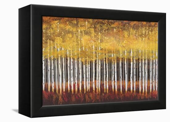 Golden Aspens-Holman-Framed Stretched Canvas