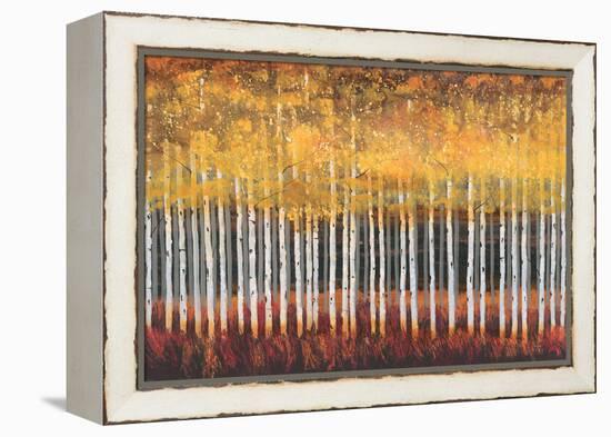 Golden Aspens-Robert Holman-Framed Stretched Canvas