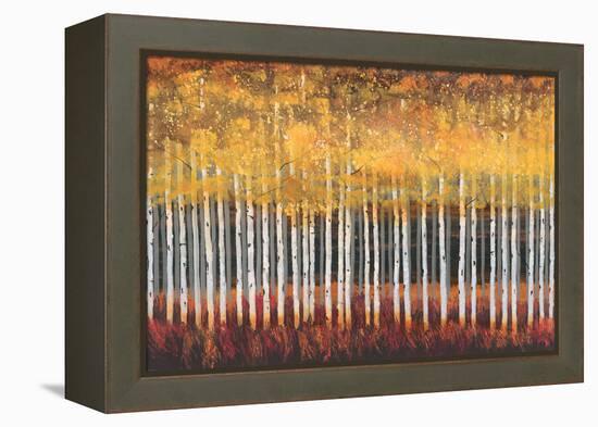 Golden Aspens-Robert Holman-Framed Stretched Canvas