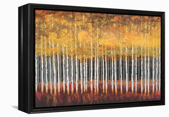 Golden Aspens-Robert Holman-Framed Stretched Canvas