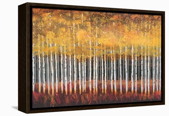 Golden Aspens-Robert Holman-Framed Stretched Canvas