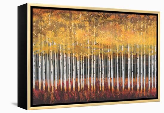 Golden Aspens-Robert Holman-Framed Stretched Canvas