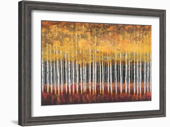 Golden Aspens-Robert Holman-Framed Art Print