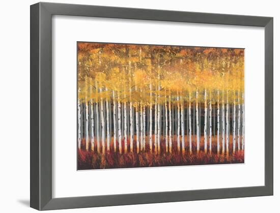 Golden Aspens-Robert Holman-Framed Art Print