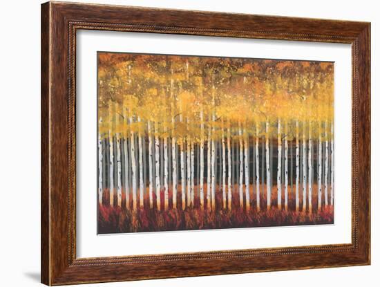 Golden Aspens-Robert Holman-Framed Art Print