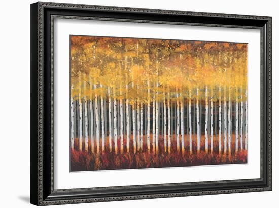 Golden Aspens-Robert Holman-Framed Art Print